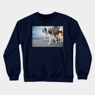 "Eyes FORWARD Barkley!" Crewneck Sweatshirt